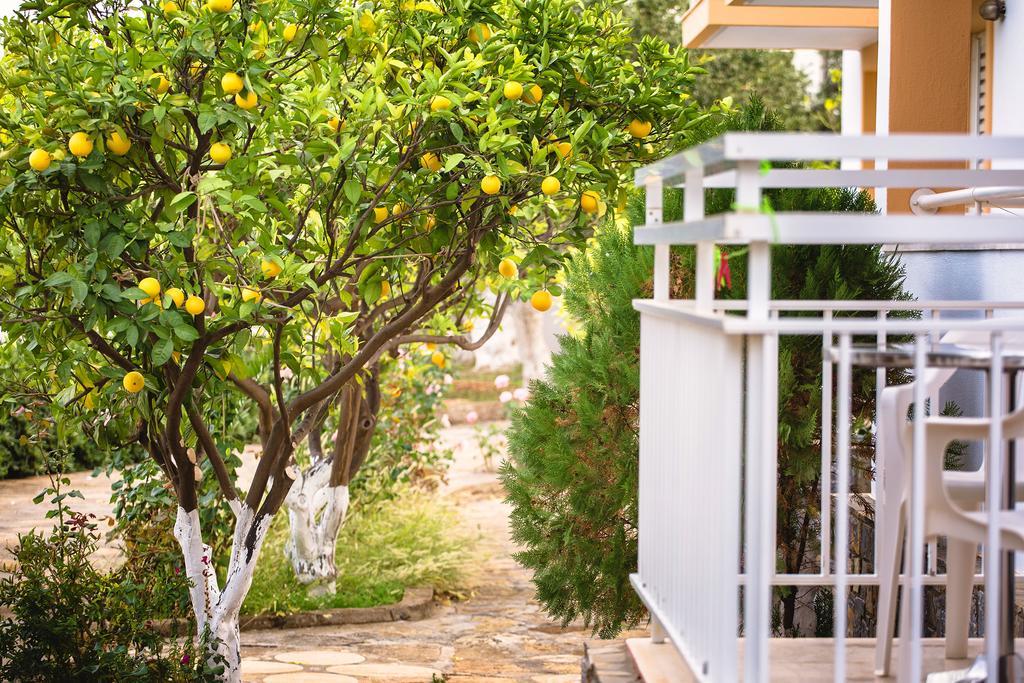 Primavera Paradise Apartments Agios Nikolaos  Ngoại thất bức ảnh